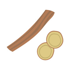 甘草（リコリス）。フラットなベクターイラスト。
Licorice root. Flat designed vector illustration.