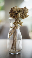 Flower in Bottle