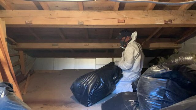 Worker In PPE Suit Removes Old Glass Whool During Insulation Renovation