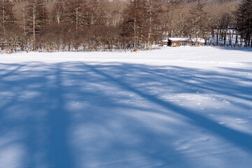 雪原と牧舎