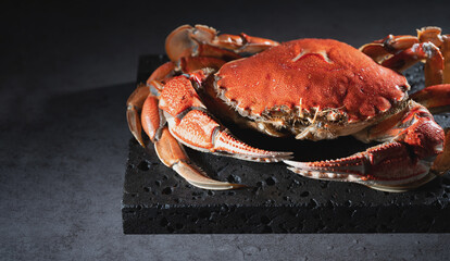 red crab on a black background	