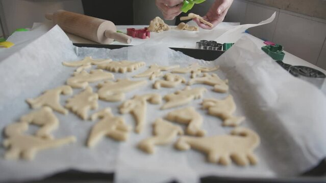 Female hands lay out the dough in the shape of dinosaurs on a baking sheet