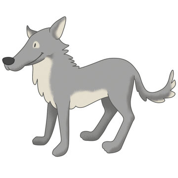 isolated wolf illustration