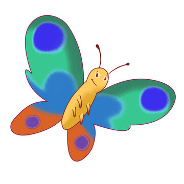 Butterfly isolated illustration