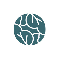 cabbage icon. Filled cabbage icon from vegetables and fruits collection. Glyph vector isolated on white background. Editable cabbage symbol can be used web and mobile