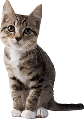 Naklejka premium shorthair cat isolated on white