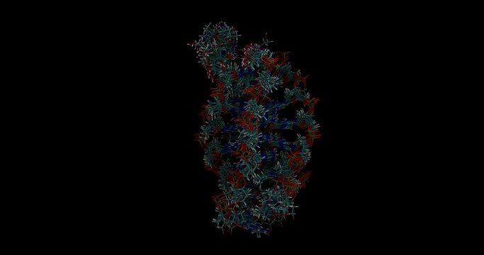 Adriamycin /Doxorubicin, anticancer drug bound to target DNA, 3D molecule spinning, 4K