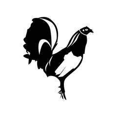 Rooster silhouette vector, poultry chickens roosters vector