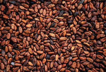 Obraz premium Granos de Cacao | Background Cocoa beans