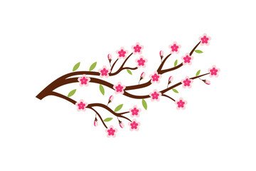 Cherry blossom branch with sakura flower Wall decoration Concept. Bird on branch wall decoration sticker design vector illustration
