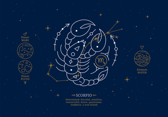 Scorpio zodiac sign with description of personal features. Astrology horoscope card with zodiac constellation on dark blue sky thin line vector illustration © Sunflower