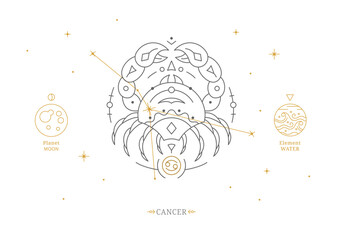 Cancer zodiac sign with description of personal features. Astrology horoscope card with zodiac constellation on white background thin line vector illustration - obrazy, fototapety, plakaty