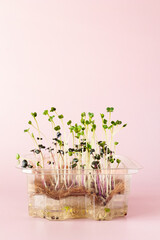Microgreen corn salad on a jute sprouting mat. Ecology concept. Superfood for health and immunity. Micronutrient rich seedlings for adding to food. Home garden. Copy space. Rose background