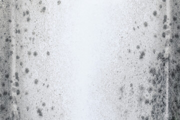 Fungal mold spots growing on white room wall