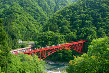 新緑の黒部峡谷鉄道鉄橋とトロッコ電車