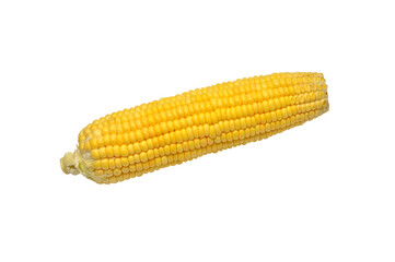 corn yellow color transparent background