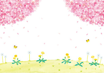 春の風景　桜とたんぽぽ　水彩イラスト