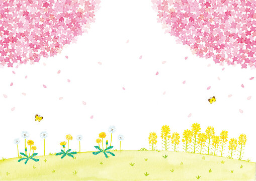 Fototapeta 春の風景　桜と菜の花とたんぽぽ　水彩イラスト