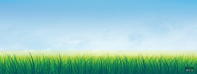Obraz na płótnie Canvas Fresh spring green grass under beautiful blue sky. Nature background with green grass and blue sky. Vector illustration.