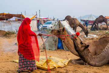 Various views of Pushkar in Rajasthan
