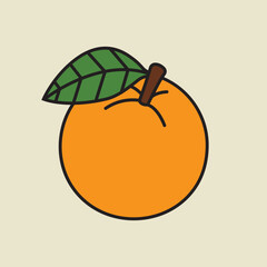 illustration of an orange fruit