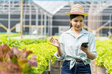 Obraz premium Friendly asian female farmer vegetable garden owner smiling and holding smartphone taking order name of organic vegetables hydroponics produce farm nursery garden greenhouse agribusiness concept
