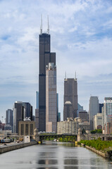 Chicago skyline seen from the park