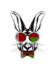 Easter bunny hand drawn portrait. Patriotic sublimation in colors of national flag on white background. Belarus