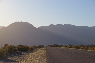 Although it may seem counterintuitive to head to the desert to look for flowers, parts of Anza Borrego Desert State Park had beautiful patches of wildflowers amid the harsh Colorado Desert landscape.