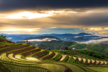 Naklejka premium landscape of region