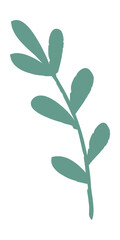 Spring leaf branch