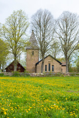 Flowering dandelions at a country church at spring