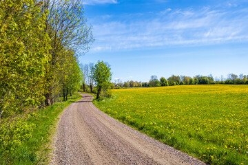 Fototapeta na wymiar Winding country road in a beautiful landscape at spring