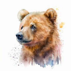 Fototapeta premium Brown Kodiak Bear Watercolour portrait, Animal illustration