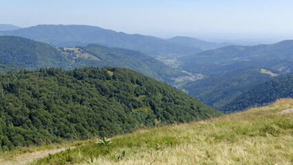 Fototapeta na wymiar Paysage estival dans le massif des Vosges