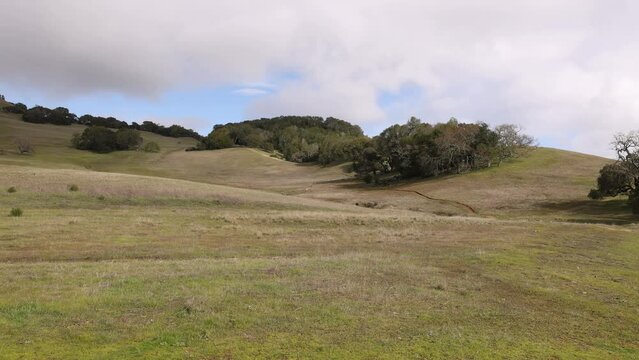 Green grassy hills in rolling Northern California landscape