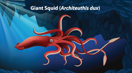 Giant Squid (Architeuthis dux) Vector
