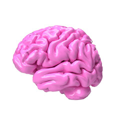 The pink brain png image for sci or medical concept 3d rendering