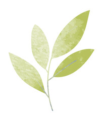 Watercolor spring leaf branch