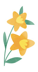 Watercolor spring flower