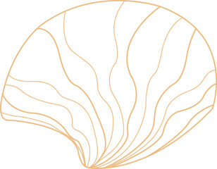 Seashell doodle illustration for decoration on marine life ,summer holiday and coastal concept