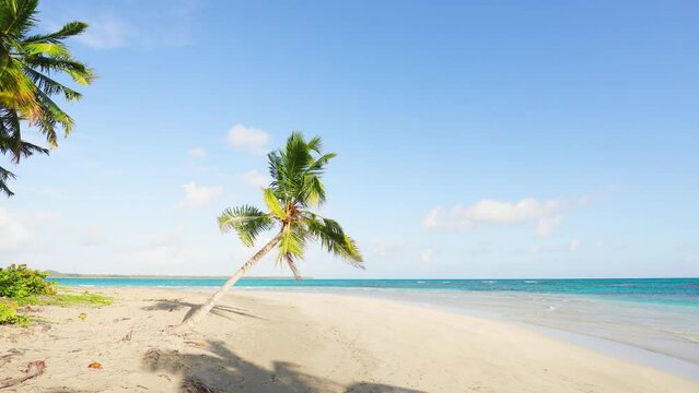Seascape of a beach with palm trees on white sand against a blue sky with clouds. Paradise island in the blue ocean on a sunny summer day. Romantic idealistic image of a tropical beach holiday.