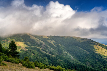Beautiful summer landscape. Green hills with trees under a blue sky with fluffy clouds. Serbia, Kopaonik