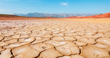 drought cracked landscape in Africa - obrazy, fototapety, plakaty