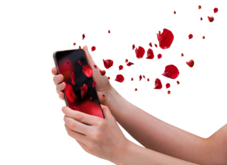 love online, Concept of human relations in the digital age