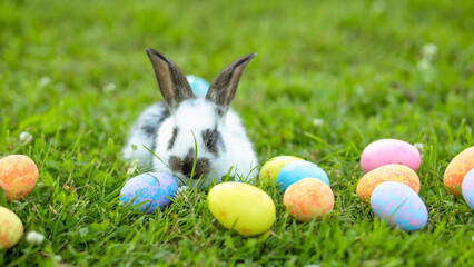 baby rabbit with painted colored eggs in basket. happy easter bunny on spring green grass. egg hunting outdoor. banner