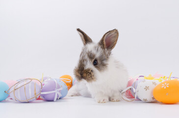 Easter Bunny in a festive Easter basket with colored eggs on a white background