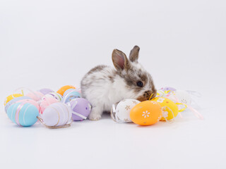 Easter Bunny in a festive Easter basket with colored eggs on a white background