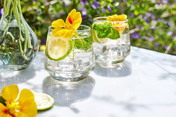 Iced lemonade with edible nasturtium flowers, lime and mint leaves. Refreshing summer drink. Healthy organic summer soda drink. Detox water. Diet unalcolic coctail.