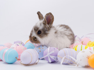 Easter Bunny in a festive Easter basket with colored eggs on a white background